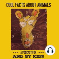 Animal Facts from Our Listeners