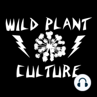 Episode 009 - David Hughes, Native Plant Craftsman