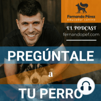 Episodio 190 - ¿Tu perro quiere que lo acaricies?