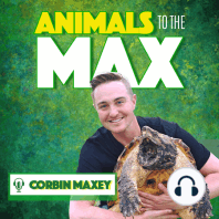 Animal Expert & TV Personality Jeff Corwin!