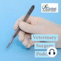 Veterinary Surgery Podcast Introduction