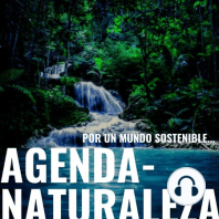 Agenda Naturaleza 6. Popotes de Mezcal.