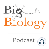 What is Big Biology?
