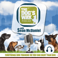SESSION 27: How to coach a new dog to play better with your existing dog and how to get a puppy out of crate calmly
