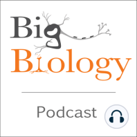 Finding our voice: The neurobiology of vocal learning (Ep 58)