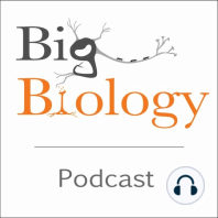 Performance anxiety: How coastal invertebrates cope with changing climate extremes (Ep 68)