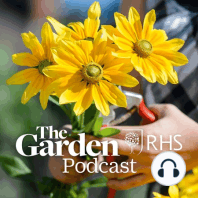 January 2020 - Gardening for mental health, houseplants on the rampage and Roy Lancaster's garden