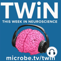 TWiN 33: Viruses leaving the brain