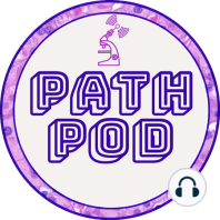 PathPod News Edition: COVID-19 impact on pregnancy and perinatal health