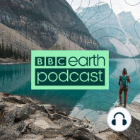 Introducing: BBC Earth Podcast