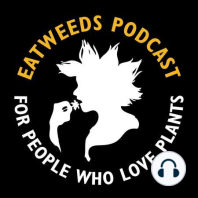 EP01: Wild Dolmades, Is Comfrey Safe To Eat, Self Care Using Plants