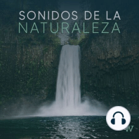 Sonidos relajantes. Olas del mar y música clásica