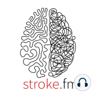 20 CSC Stroke FM - Elementary? Pragmatically speaking about MR CLEAN-NO IV