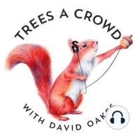 Chris Watson (Part Two): If a podcast is recorded in a forest, and no one is around to hear it…