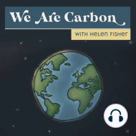 Coastal Carbon Capture - Accelerating Mineral Weathering. With Kelly Erhart