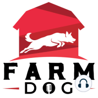 Ep. 26: Mining Border Collie trials for farm and ranch stockdogs