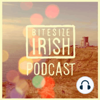 Podcast 131: Ciara Ní É – Gaeilge, creativity and self-expression