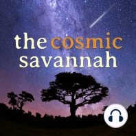 Episode 31: Cosmic Beasts and Where to Find Them
