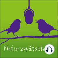 Teil 2 Naturzwitschern mit Wolfgang Peham / Wildniswissen: Was macht ihr eigentlich in der Wildnisschule Wildniswissen?