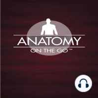 Episode 50 - Making Anatomy Easier