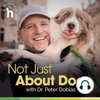 Empowering and Inspiring Pet Parents with holistic vet Dr. Jeff Feinman