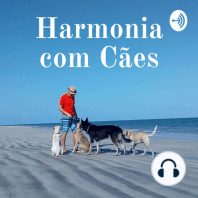 Música relaxante para cães - Version eletrônica, Best of JARICO