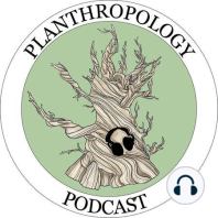 62. Plants in World Traditions- UnbeLEAFably Spooky Special