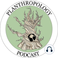Let's Talk Plants: A Student Podcast- Ivan Rodriguez