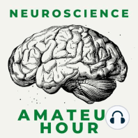 Episode 19: The Neuroscience of your Ears and Super Loud Rock Concerts