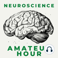 Episode 23: The Neuroscience of Smoking Cigarettes