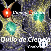 Neuronas Pica-pica