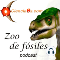 Los estegosaurios, dinosaurios con placas