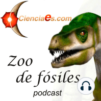 Paleodictyon, el misterio de las profundidades.