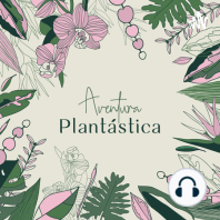 43. LO-FI para plantas con Ruth de las Plantas [T3.E3]