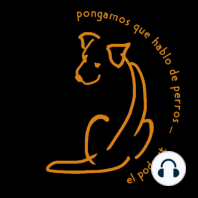 #03-10 - Pongamos que Hablo de 'si es Necesario Sacar a mi Perro' con Patricia Cadenas de Mestizos (ES)