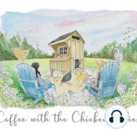 Episode 37 Barnevelder Chicken / Chicken Communication / Rebekah Marshall Art