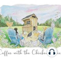 Episode 75 Hedemora Chicken / Failure to Thrive in Chicks / Ultra Rare Breeds with Kate Whyld of Hens on Oxney