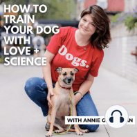 Ask Annie: Curtailing jumping and helping scaredy dogs