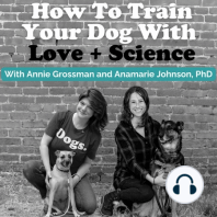 Dog Trainer (and NYC small biz owner!) Amanda Gagnon on parenting using behavior modification techniques learned from working with dogs