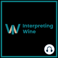 Ep 9:  Mike Mazey, Wine Words the Book