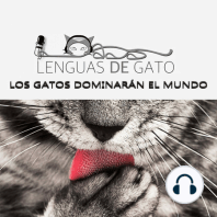 Ep 25. Los gatos del antiguo Egipto, la diabetes en los gatos y Paula y su gata lazarillo