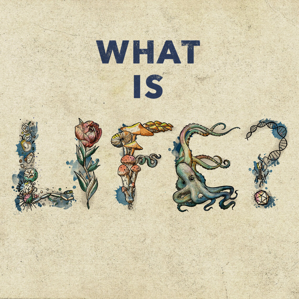 Episode 5 jeremy england why does life exist what is life podcast