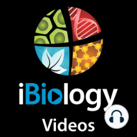 Jason Swedlow: Metadata in BioImaging: Management, Organization, and Sharing BioImaging Data