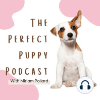 Welcome To The Perfect Puppy Podcast