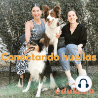 04: Esteriliza, esteriliza, esteriliza / Con Ana Couret de Fundación Calle Cero