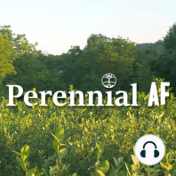 Welcome to Perennial AF!
