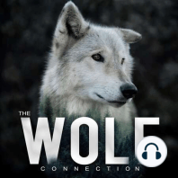 Episode #46 Jim & Jamie Dutcher - Living With Wolves