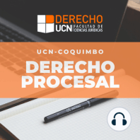 EL DIVORCIO ENTRE LA DOCTRINA PROCESAL Y LA PRÁCTICA