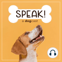 Ep. 15 - Positive Reinforcement, Negative Reinforcement, & Punishment