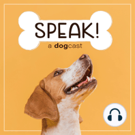 Ep. 24 - Why Your Tone with Your Dog Matters